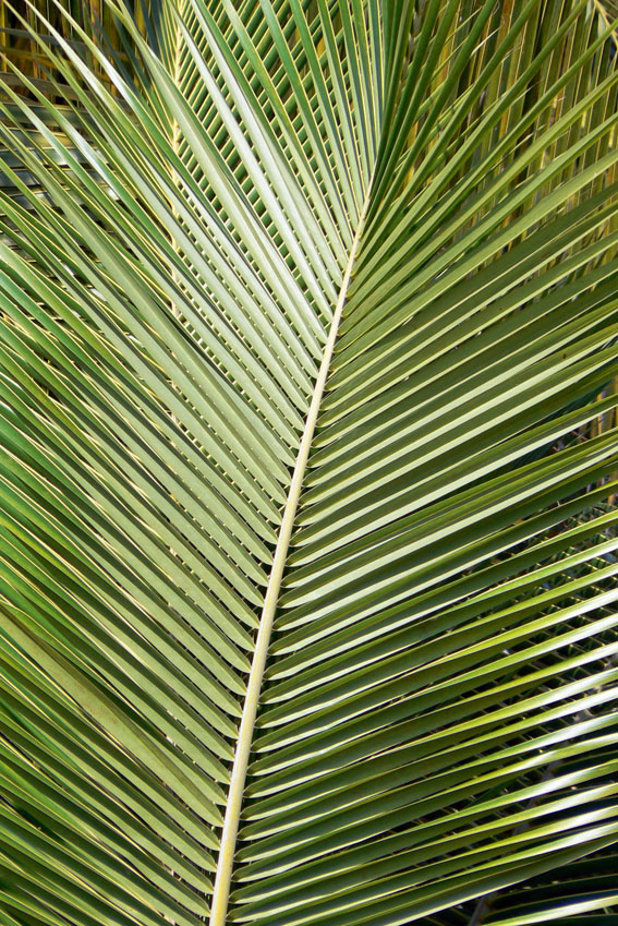 P1170917